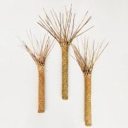 Natural nikau grouping