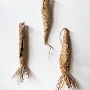 #1265 Cocoon grouping
