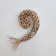 #977 Germination