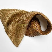 #622 Whelk  SOLD
