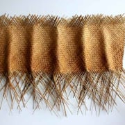 Ruffle - sold