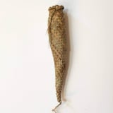 #1135 Cocoon #3
