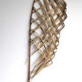 #602  Nikau sail #2