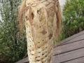 Tall waikawa #1 sold -