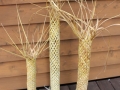 Harakeke palm collection