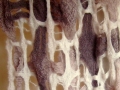 Deflected double weave scarf