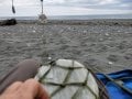 03-IMG20230125153851
