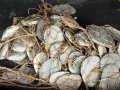 16-IMG_20230212_081148