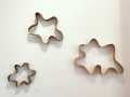 Amoeba series