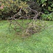 Uplift in the my garden