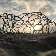 "Uplift" at sunset
