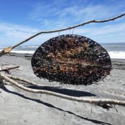 Tangaroa's Tapestry