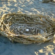 "The World is Your Oyster"