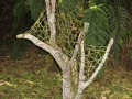 Garden sculpture - driftwood, harakeke