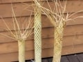 Woven nikau collection