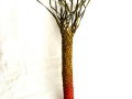 Nikau #273