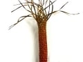 Nikau #271