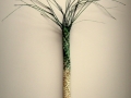 Nikau - sold