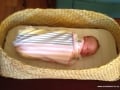 Lily peacefully sleeping in her wahakura