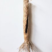 #1193 Cocoon