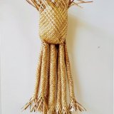 #615 Pandanus