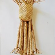 #615 Pandanus