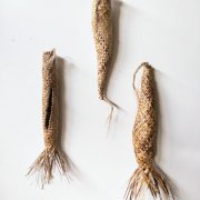 #1265 Cocoon grouping