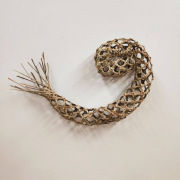 #977 Germination