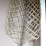 #601  Nikau sail #1