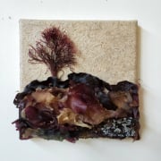 #1177 Seaweedscape