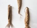 #1265 Cocoon grouping