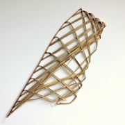 #607 Nikau sail #7