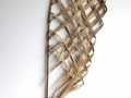 #602  Nikau sail #2
