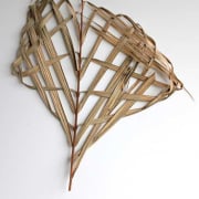 #604  Nikau sail #4