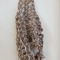 #1146 Swarm - SOLD