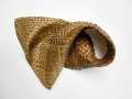 #622 Whelk  SOLD