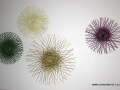 Selection of woven discs