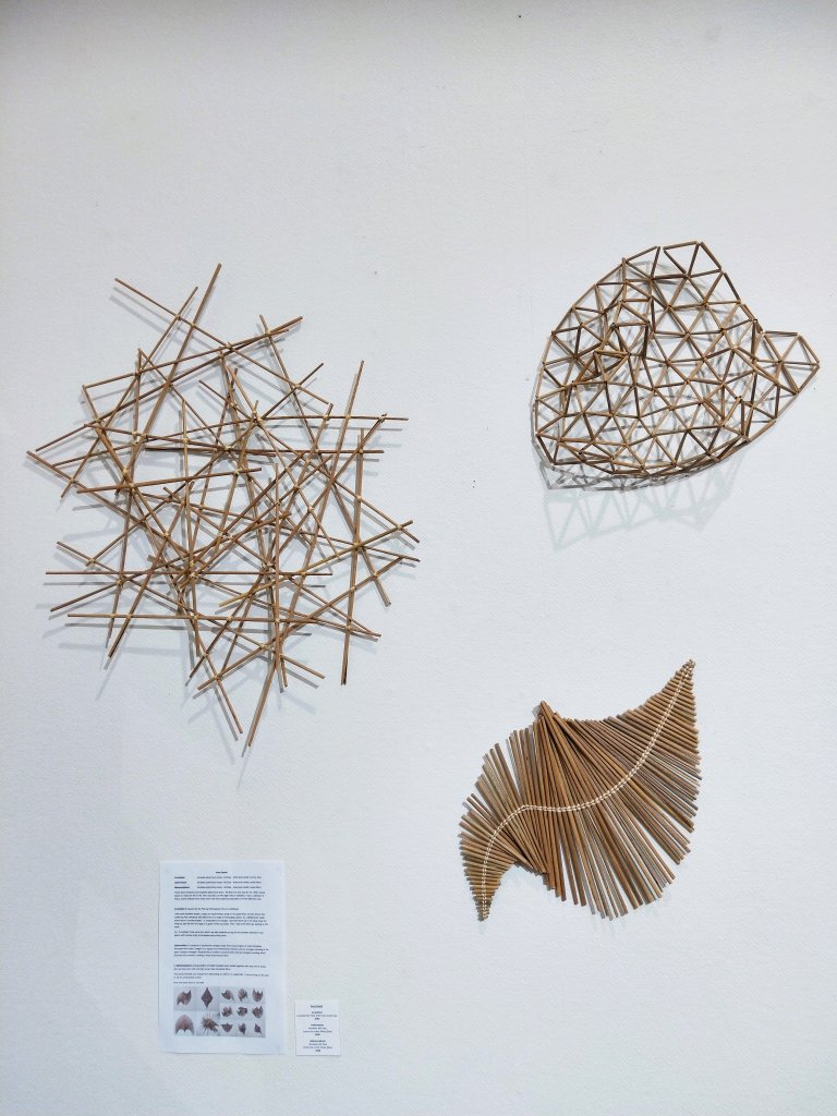 Three harakeke artworks in Brain-sailing exhibition