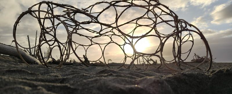 Driftwood sculpture made of vine hoops