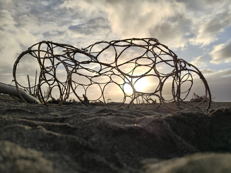 Driftwood sculpture made of vine hoops
